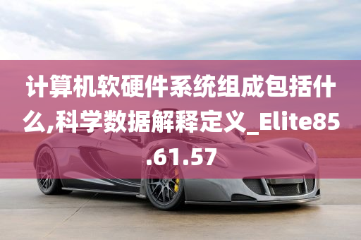 计算机软硬件系统组成包括什么,科学数据解释定义_Elite85.61.57