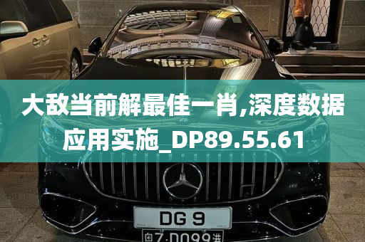 大敌当前解最佳一肖,深度数据应用实施_DP89.55.61