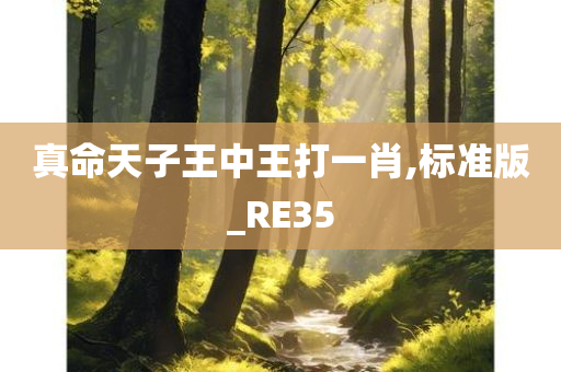 真命天子王中王打一肖,标准版_RE35