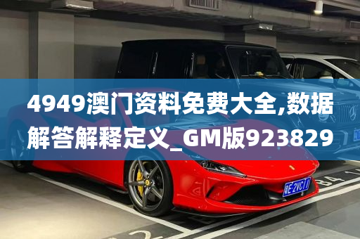 4949澳门资料免费大全,数据解答解释定义_GM版923829