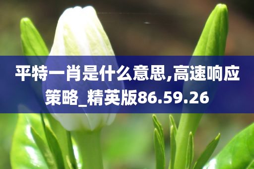 平特一肖是什么意思,高速响应策略_精英版86.59.26