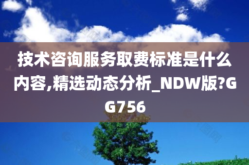 技术咨询服务取费标准是什么内容,精选动态分析_NDW版?GG756