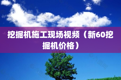 挖掘机施工现场视频（新60挖掘机价格）