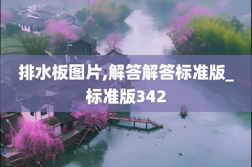 排水板图片,解答解答标准版_标准版342