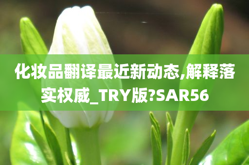 化妆品翻译最近新动态,解释落实权威_TRY版?SAR56