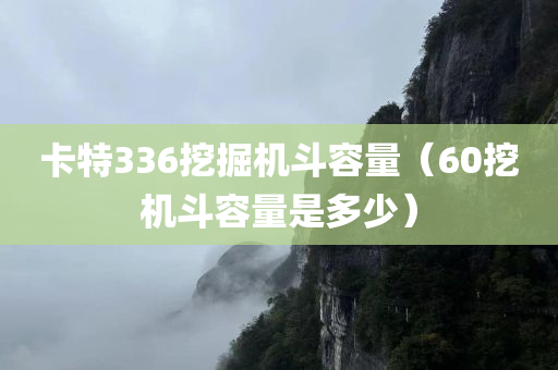 卡特336挖掘机斗容量（60挖机斗容量是多少）