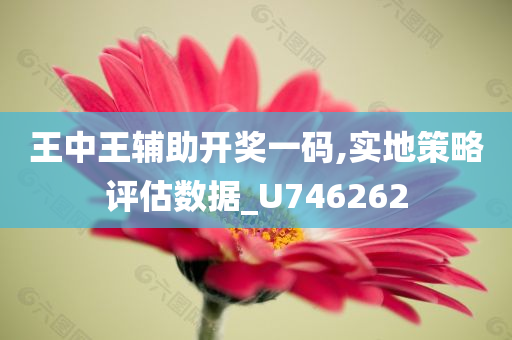 王中王辅助开奖一码,实地策略评估数据_U746262