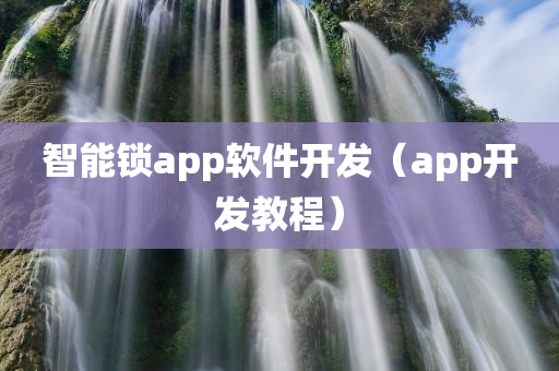 智能锁app软件开发（app开发教程）