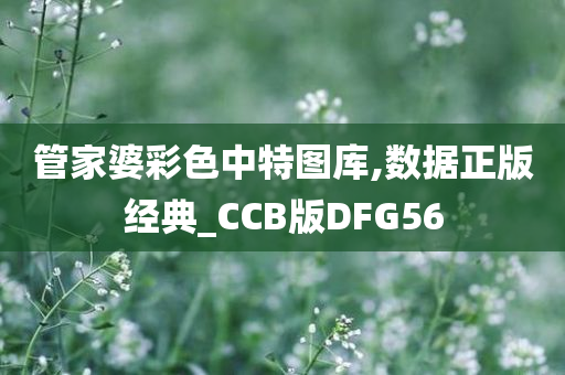 管家婆彩色中特图库,数据正版经典_CCB版DFG56