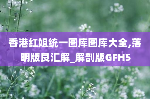 香港红姐统一图库图库大全,落明版良汇解_解剖版GFH5