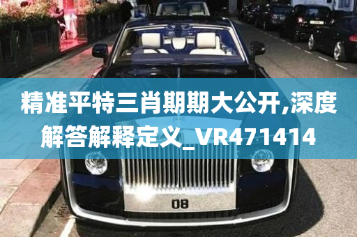 精准平特三肖期期大公开,深度解答解释定义_VR471414