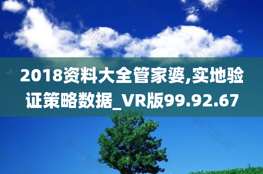 2018资料大全管家婆,实地验证策略数据_VR版99.92.67