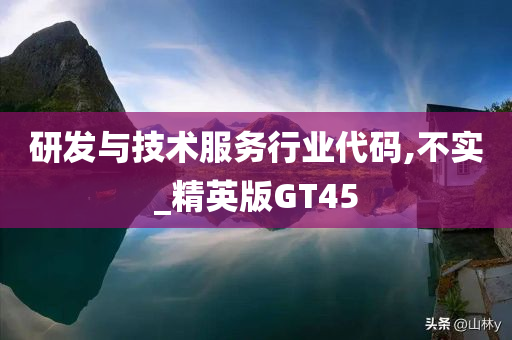 研发与技术服务行业代码,不实_精英版GT45