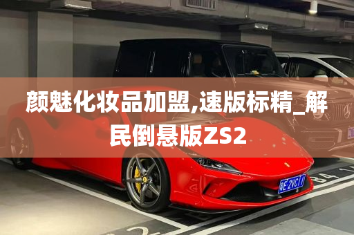 颜魅化妆品加盟,速版标精_解民倒悬版ZS2