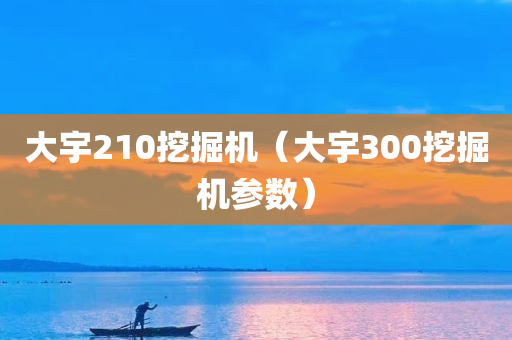 大宇210挖掘机（大宇300挖掘机参数）