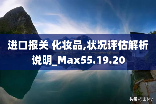 进口报关 化妆品,状况评估解析说明_Max55.19.20