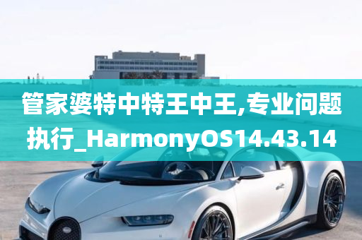 管家婆特中特王中王,专业问题执行_HarmonyOS14.43.14