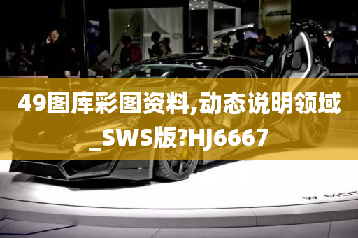 49图库彩图资料,动态说明领域_SWS版?HJ6667