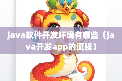 java软件开发环境有哪些（java开发app的流程）