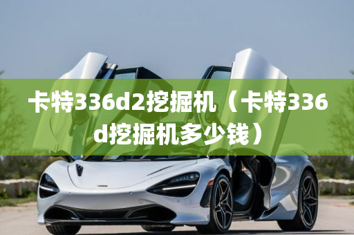 卡特336d2挖掘机（卡特336d挖掘机多少钱）