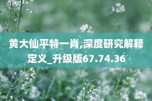 黄大仙平特一肖,深度研究解释定义_升级版67.74.36