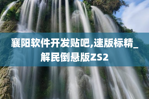 襄阳软件开发贴吧,速版标精_解民倒悬版ZS2