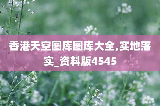 香港天空图库图库大全,实地落实_资料版4545