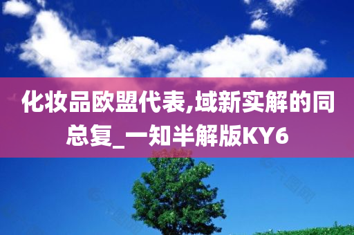 化妆品欧盟代表,域新实解的同总复_一知半解版KY6