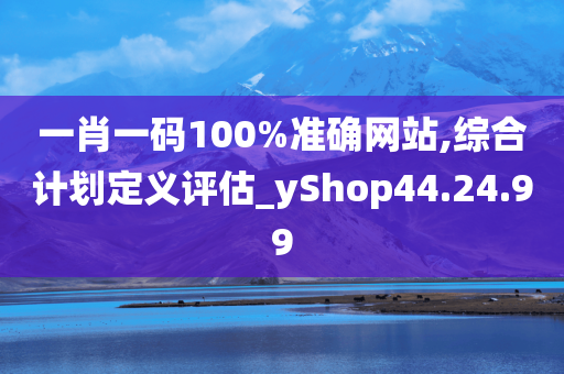 一肖一码100%准确网站,综合计划定义评估_yShop44.24.99