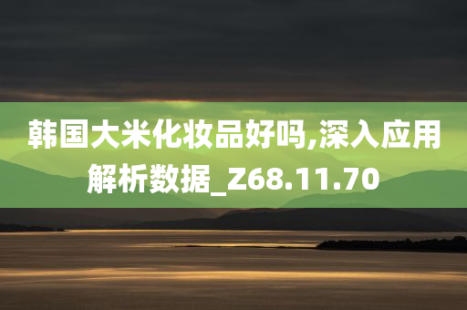 韩国大米化妆品好吗,深入应用解析数据_Z68.11.70