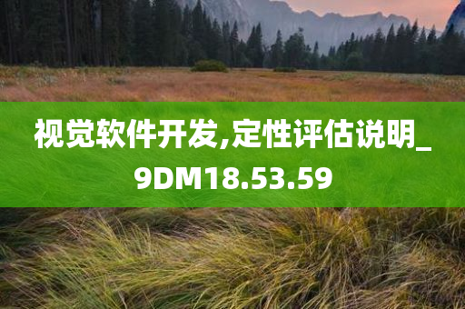 视觉软件开发,定性评估说明_9DM18.53.59