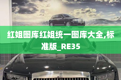 红姐图库红姐统一图库大全,标准版_RE35