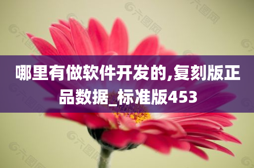 哪里有做软件开发的,复刻版正品数据_标准版453