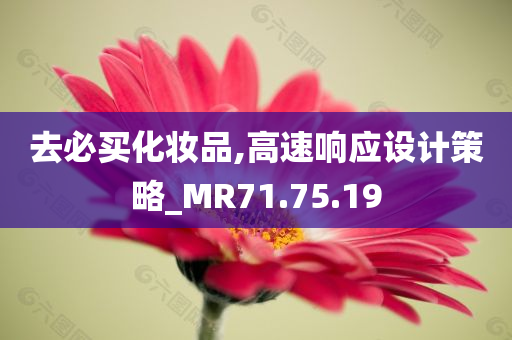 去必买化妆品,高速响应设计策略_MR71.75.19