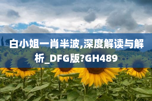 白小姐一肖半波,深度解读与解析_DFG版?GH489