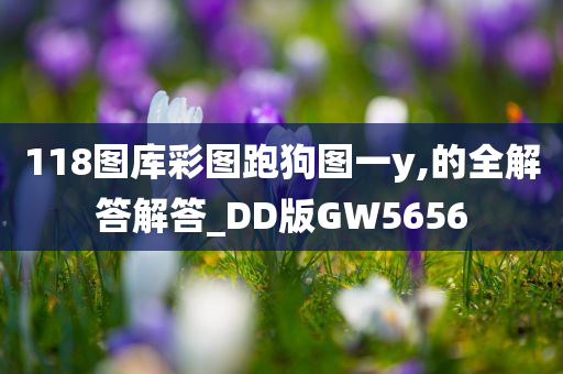 118图库彩图跑狗图一y,的全解答解答_DD版GW5656