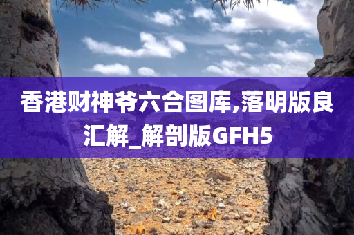 香港财神爷六合图库,落明版良汇解_解剖版GFH5