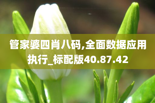 管家婆四肖八码,全面数据应用执行_标配版40.87.42