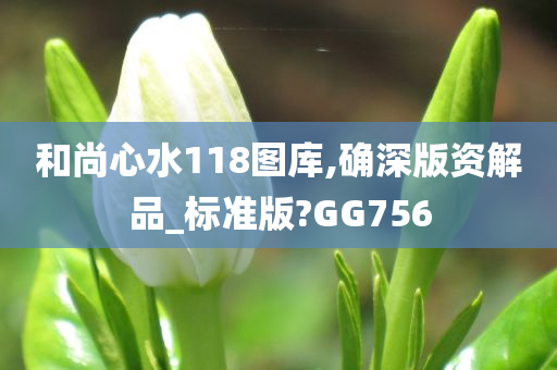 和尚心水118图库,确深版资解品_标准版?GG756