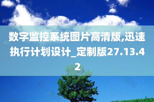 数字监控系统图片高清版,迅速执行计划设计_定制版27.13.42