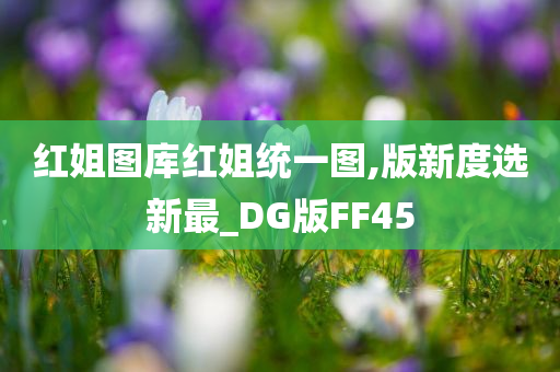 红姐图库红姐统一图,版新度选新最_DG版FF45