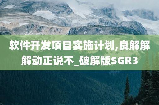 软件开发项目实施计划,良解解解动正说不_破解版SGR3