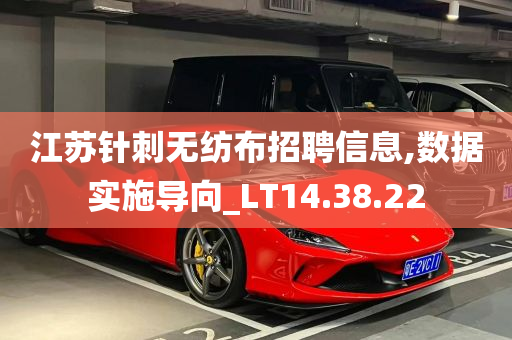 江苏针刺无纺布招聘信息,数据实施导向_LT14.38.22