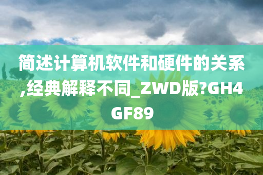 简述计算机软件和硬件的关系,经典解释不同_ZWD版?GH4GF89