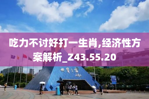 吃力不讨好打一生肖,经济性方案解析_Z43.55.20