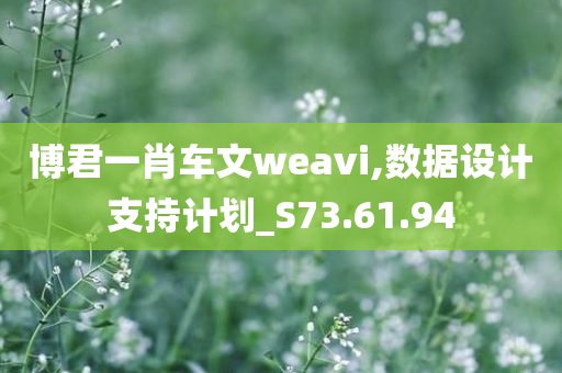 博君一肖车文weavi,数据设计支持计划_S73.61.94