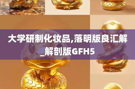 大学研制化妆品,落明版良汇解_解剖版GFH5