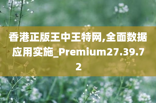 香港正版王中王特网,全面数据应用实施_Premium27.39.72