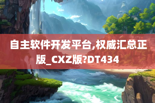 自主软件开发平台,权威汇总正版_CXZ版?DT434