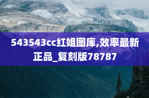 543543cc红姐图库,效率最新正品_复刻版78787